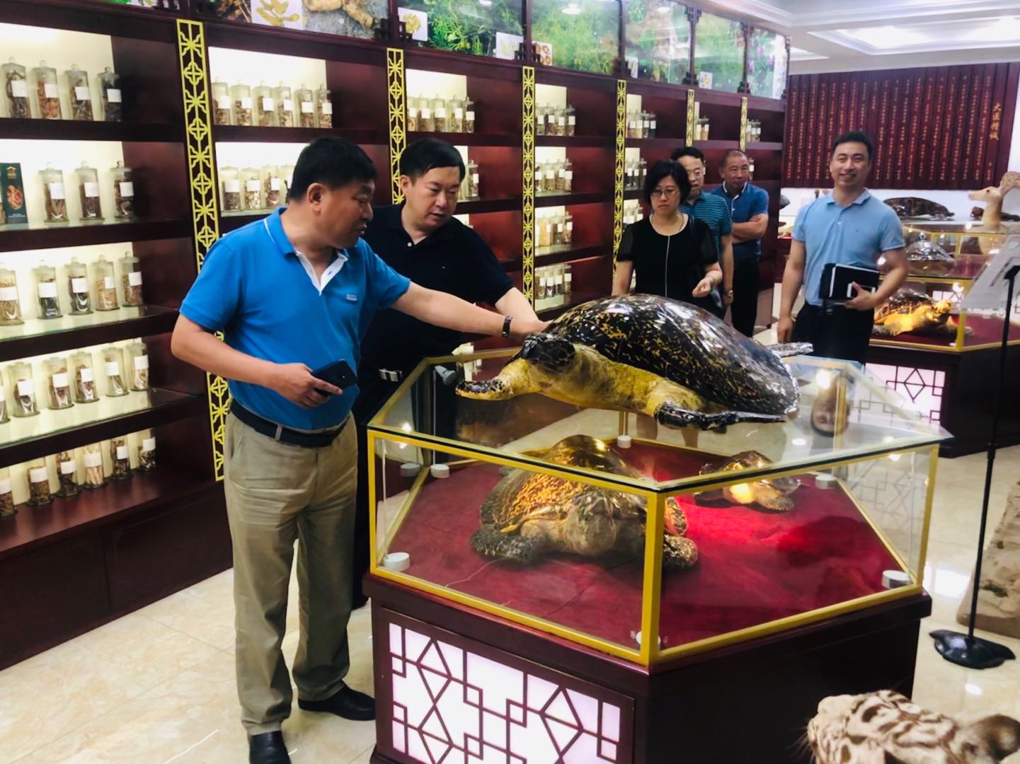 吉林省商務(wù)廳副廳長(zhǎng)劉乃軍帶隊(duì)考察吉林省北藥藥材加工有限公司